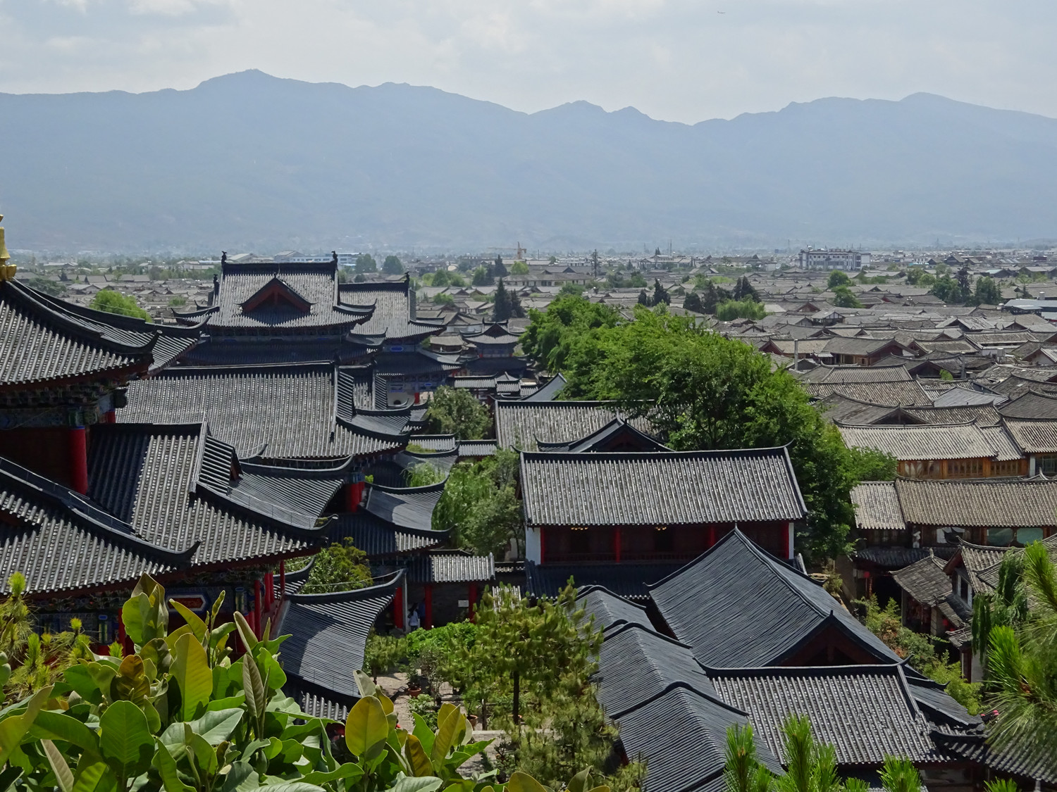 配图